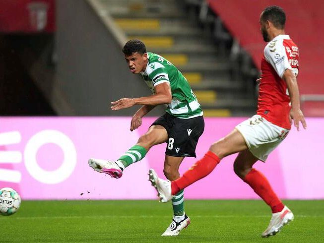 此次招生政 此次招生政